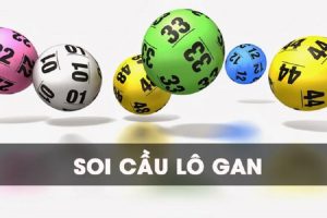 Soi cầu lo gan
