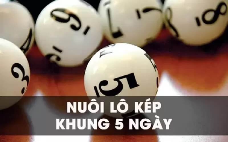 Nuôi lô kép khung 5 ngày