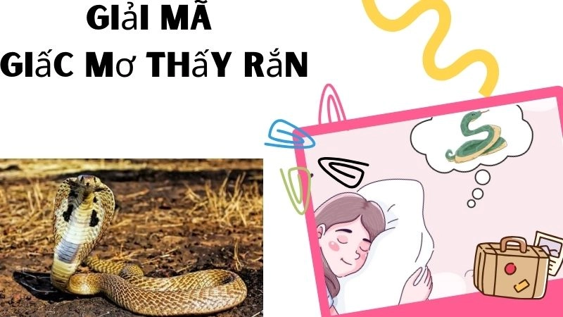 Mơ thấy rắn