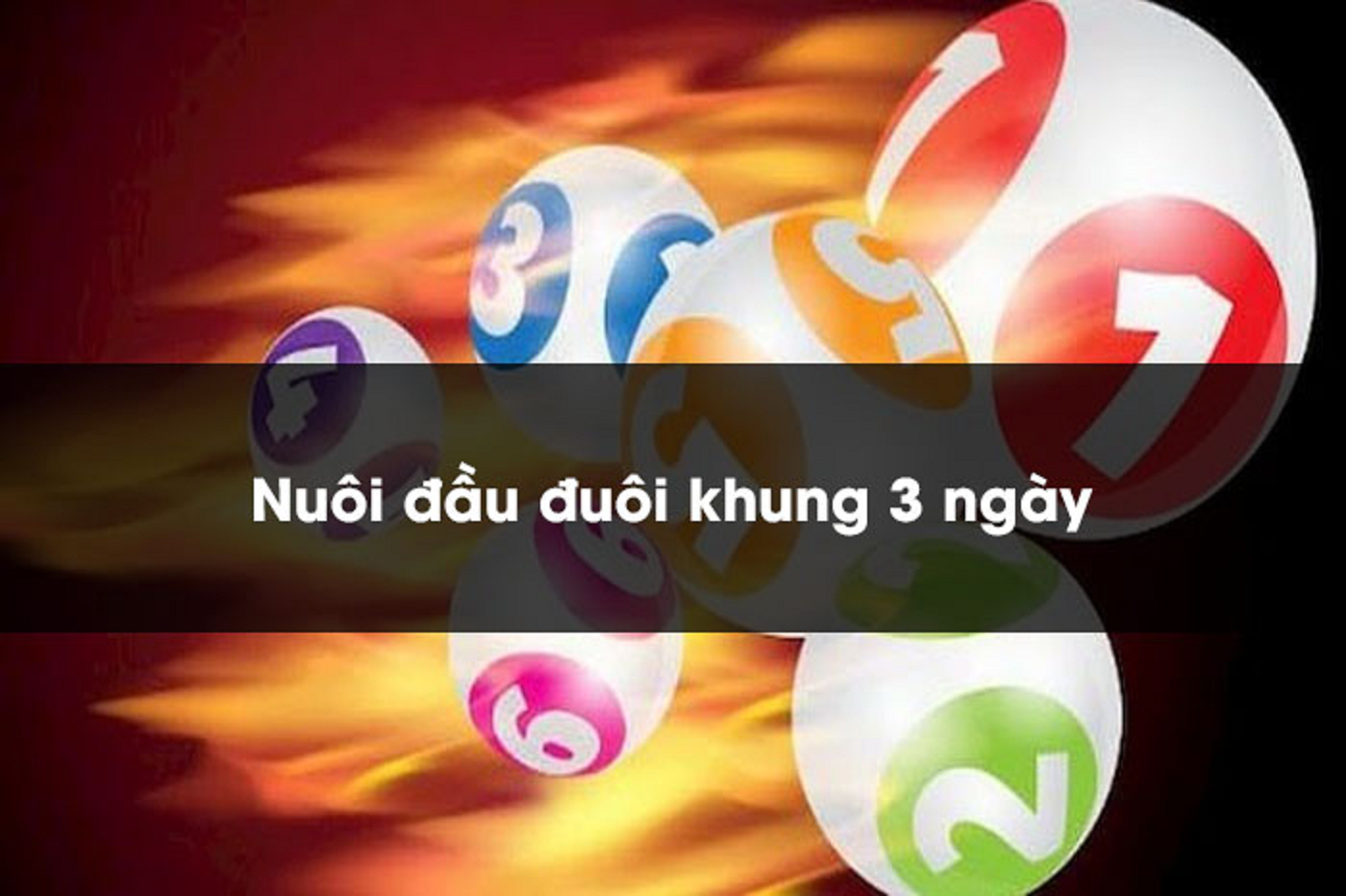 Nuôi đầu đuôi khung 3 ngày