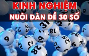 Kinh nghiệm nuôi dàn đề 30 số